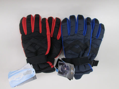 Thinsulate 40g Ski Gloves