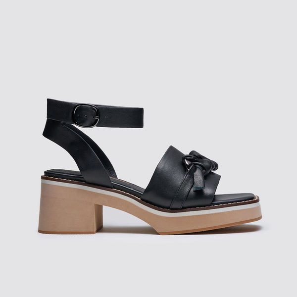 Andrea Biani Imagine