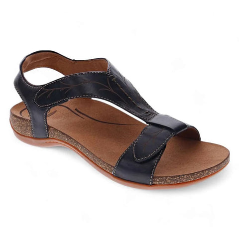 Scholl Aurora