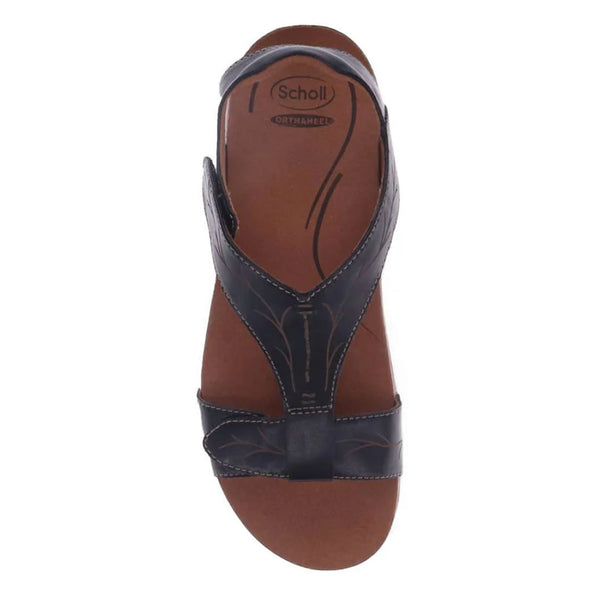 Scholl Aurora