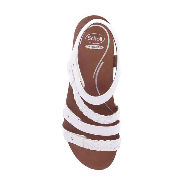 Scholl Josie White