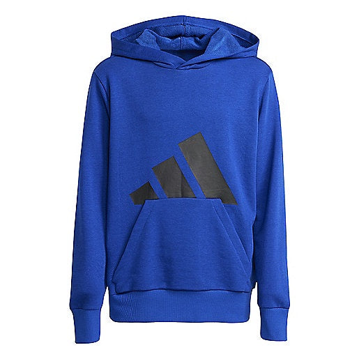 adidas Kids Big Logo Hoodie