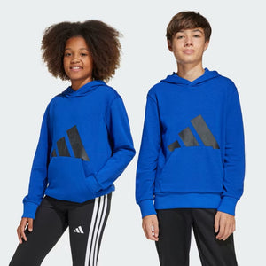 adidas Kids Big Logo Hoodie