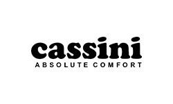 Cassini Mitsy
