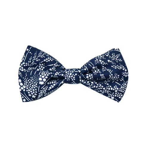 Liberty Whispering Stars Bow Tie