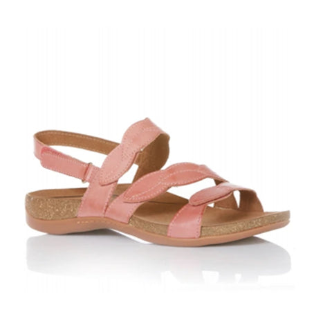 Scholl Able